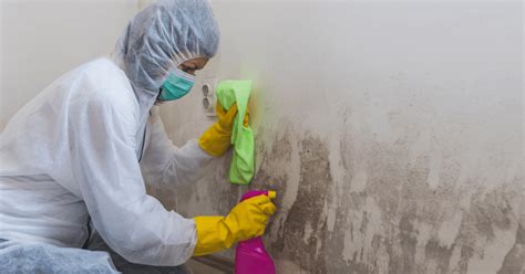 Mold-Free Zones: Using Magic Mold Removers for Specific Areas